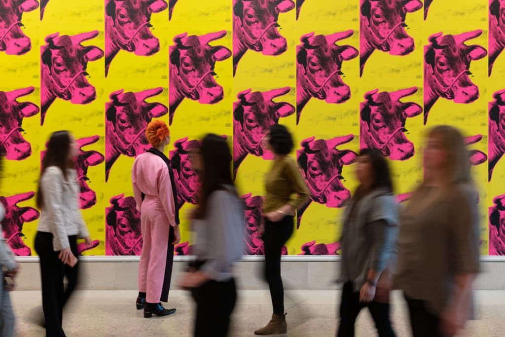 Riley in front of Andy Warhol's Cow Wallpaper (1966) at the Art Institute of Chicago.